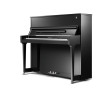 SCHIMMEL International F123 TRADITION BK