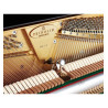SCHIMMEL International F123 TRADITION BK