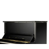 SCHIMMEL WILHELM SCHIMMEL W118 Tradition Noir Brillant Academy