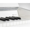 SCHIMMEL K122 ELEGANCE BLANC BRILLANT CHROME