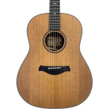 TAYLOR Builder's Edition 517e WHB - STOCK B