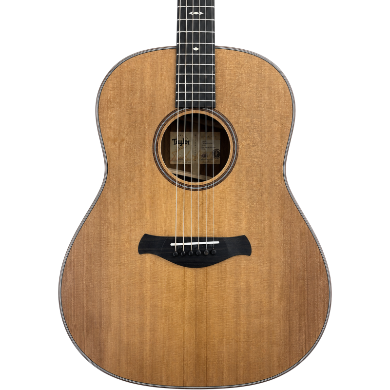 TAYLOR Builder's Edition 517e WHB - STOCK B