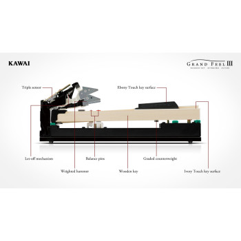 Kawai CA901EP Noir Laque