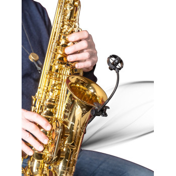 PRODIPE Micro SB21 lanen sax and brass