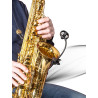 PRODIPE Micro SB21 lanen sax and brass