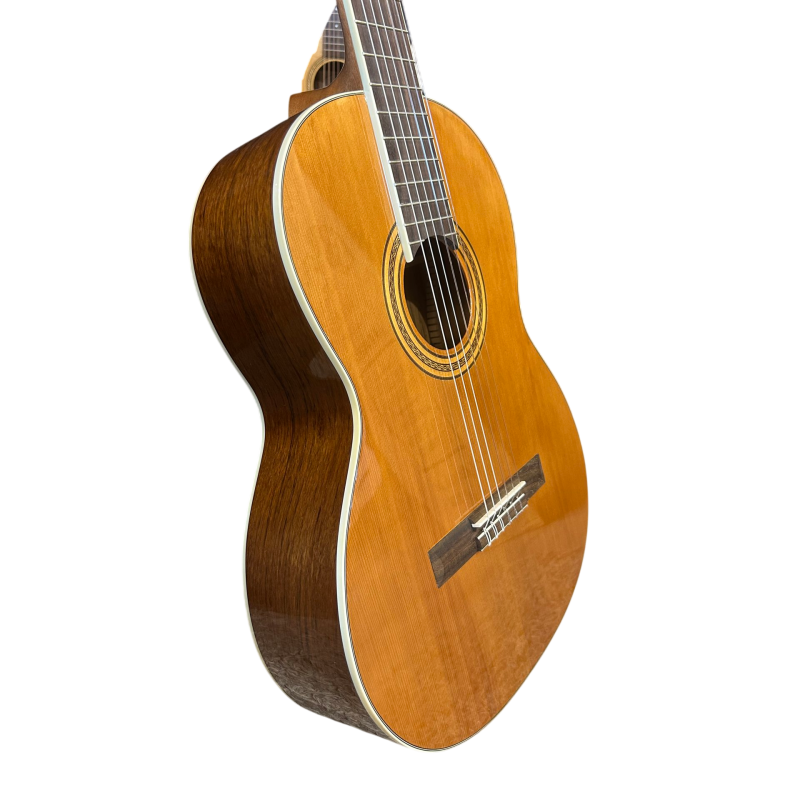 Pablo Mendes PMCG-60 guitare classique