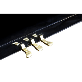 PLEYEL TRIBUTE123-BLK piano droit tribute hauteur 123cm noir brillant