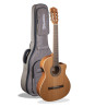 ALHAMBRA Z Nature Cutaway EZ