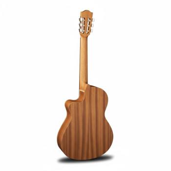 ALHAMBRA Z Nature Cutaway EZ