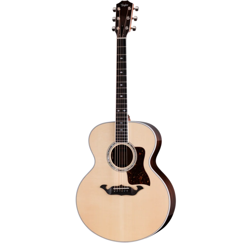 TAYLOR Legacy 815e Natural