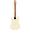 IBANEZ FLATV2MSN Mint Sand Guitare electrique avec valise