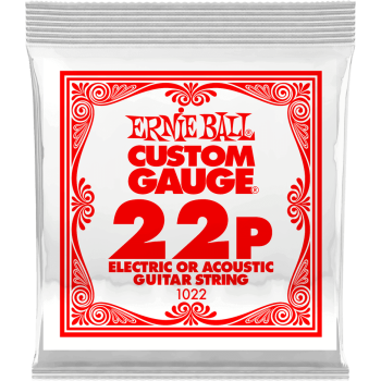 ERNIE BALL 1022 slinky nickel wound 22