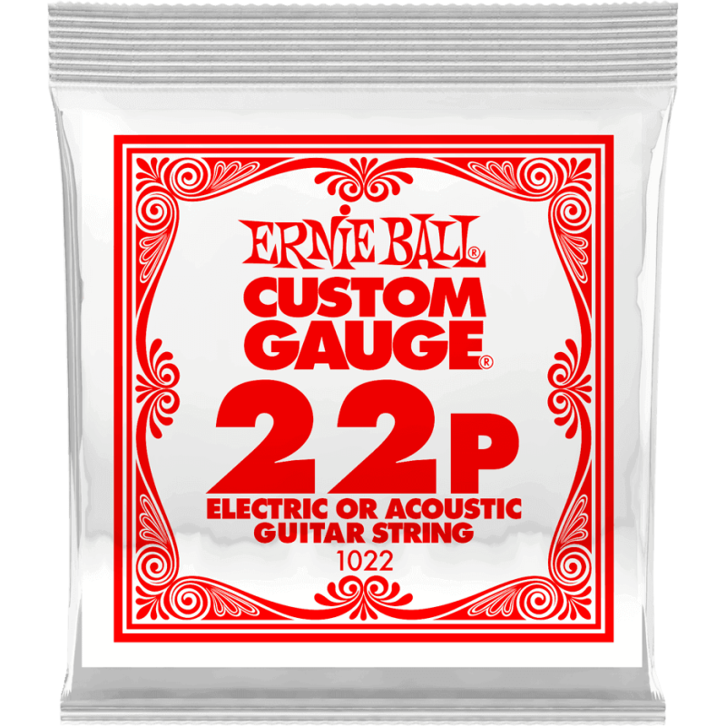 ERNIE BALL 1022 slinky nickel wound 22