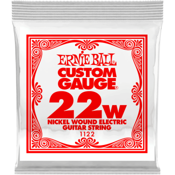 ERNIE BALL 1122 slinky nickel wound 22