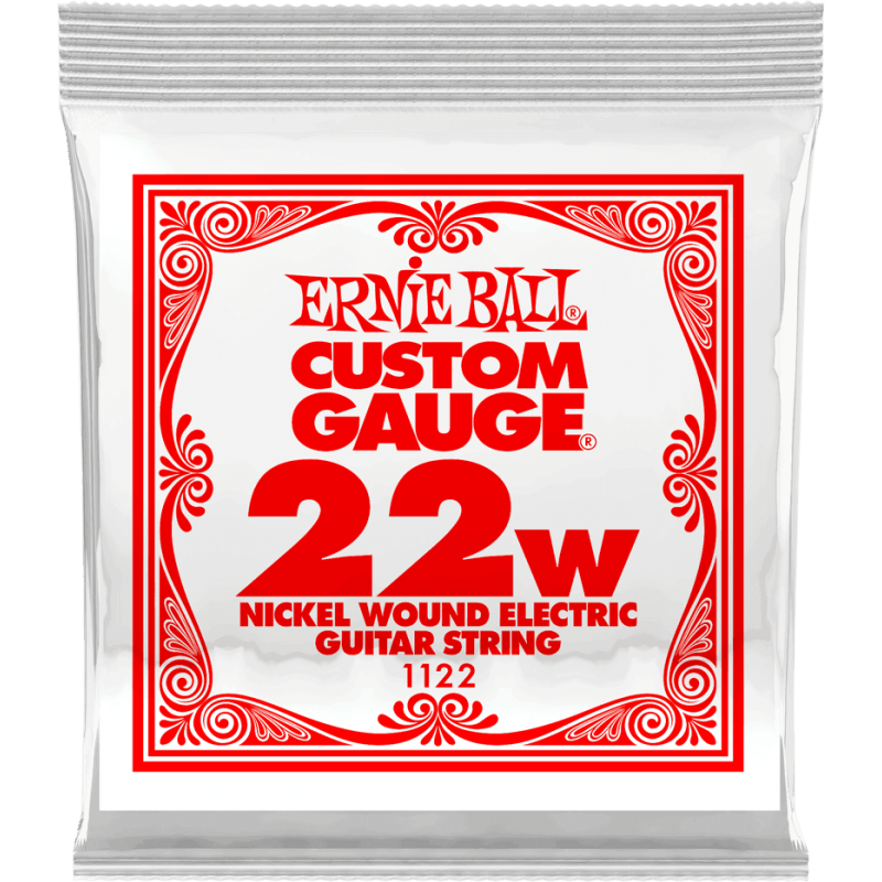 ERNIE BALL 1122 slinky nickel wound 22