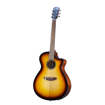 BREEDLOVE DSSO21CEED breedlove discovery s concerto ce edge