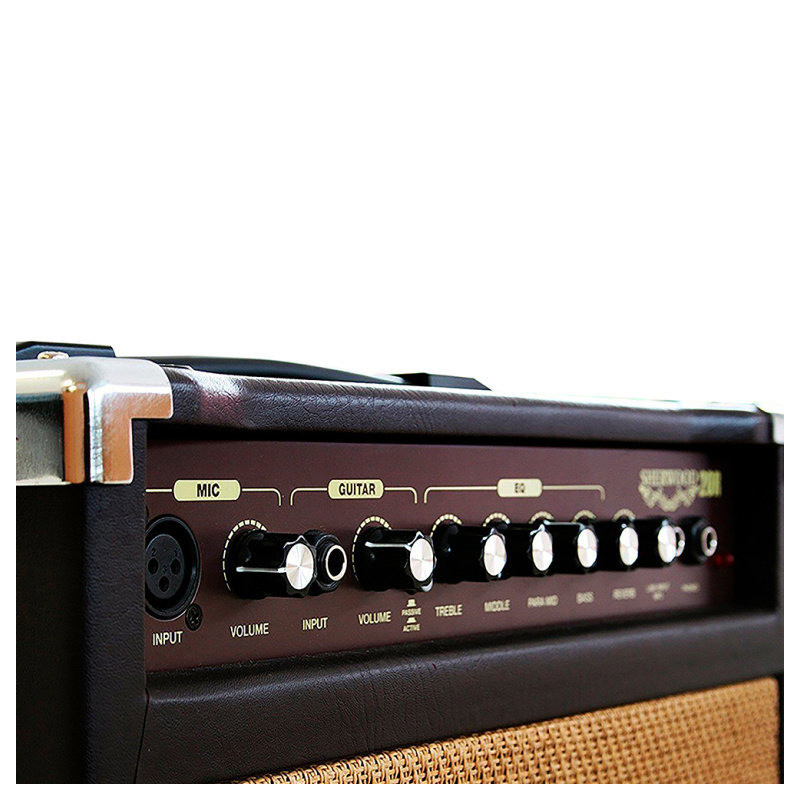 CARLSBRO SHERWOOD 20 ampli combo guitare acoustique sherwood20