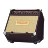 CARLSBRO SHERWOOD 20 ampli combo guitare acoustique sherwood20