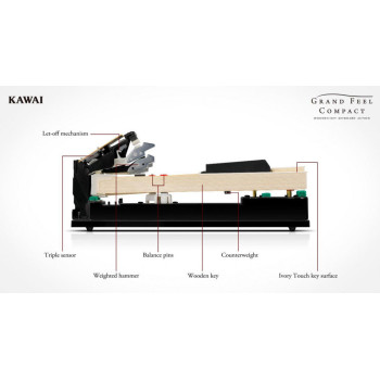 KAWAI CA501W Blanc Mat