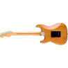 FENDER American Professional II Stratocaster HSS touche erable Roasted Pine
