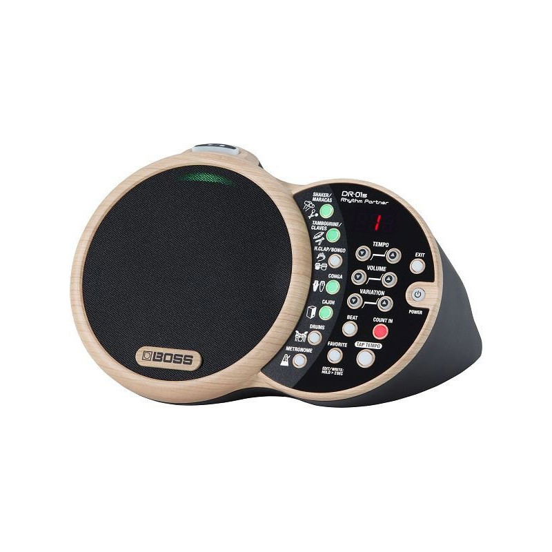 BOSS DR-01S digital percussion accompaniment pour acoustic performers