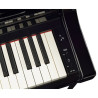 YAMAHA CSP-255 Noir