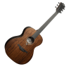 LAG SAUVAGE-A guitare acoustique sauvage auditorium