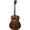 LAG SAUVAGE-A guitare acoustique sauvage auditorium