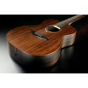 LAG SAUVAGE-A guitare acoustique sauvage auditorium