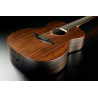 LAG SAUVAGE-A guitare acoustique sauvage auditorium