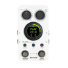 MOOER MOOER-GL100 looper mooer gl100