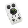MOOER MOOER-GL100 looper mooer gl100