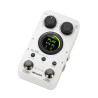 MOOER MOOER-GL100 looper mooer gl100