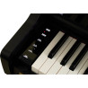 CASIO AP-750 Noir Mat