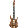 IBANEZ RGT1220PBABS Antique Brown Stained Guitare electrique avec housse