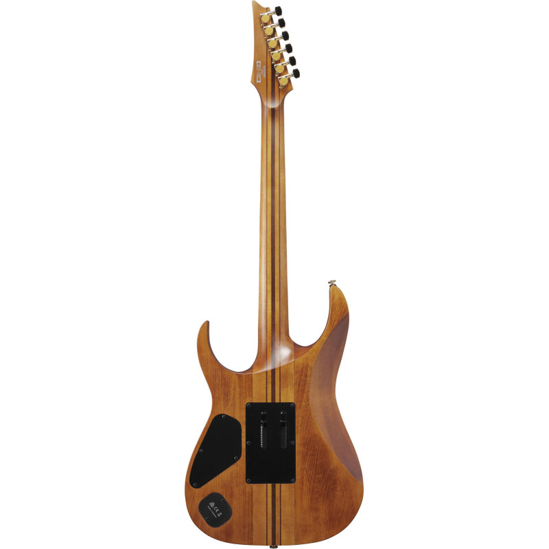 IBANEZ RGT1220PBABS Antique Brown Stained Guitare electrique avec housse