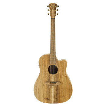 COLE CLARK FL2EC-BLBL guitare cole clark fl2ec, etui