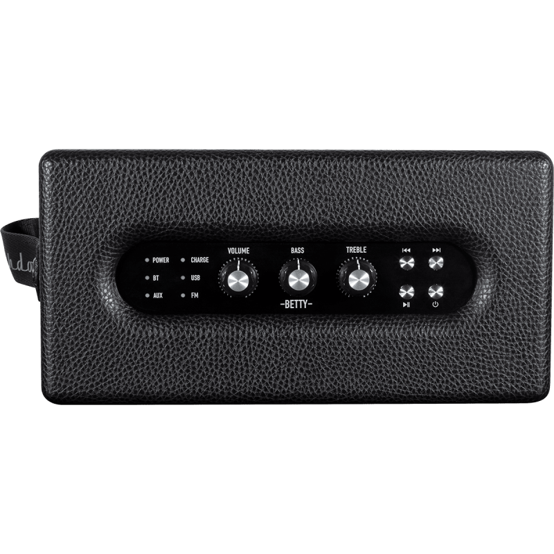 ASHDOWN BETTY station d'écoute sans fil noir 2 x 20w fonctionnant sur batterie