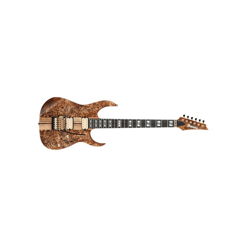 IBANEZ Housse Basse Electrique Brown