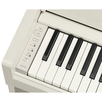 YAMAHA YDP-S36WB - PIANO NUMERIQUE - WHITE BIRCH