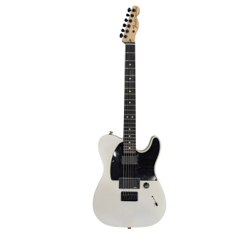 OCCASION - FENDER Jim Root Telecaster Flat White