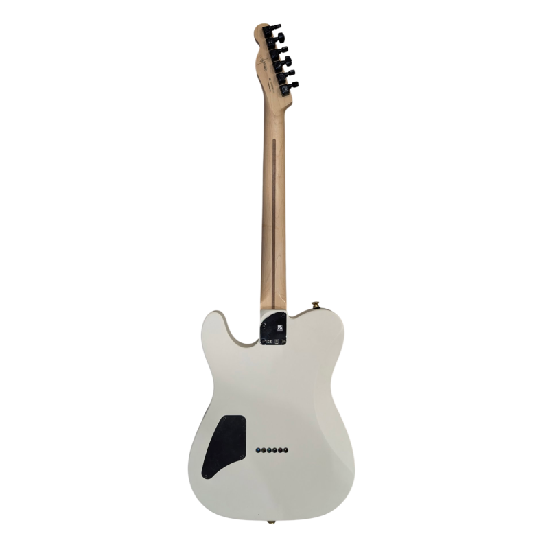 OCCASION - FENDER Jim Root Telecaster Flat White
