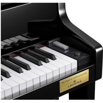 CASIO GP-510 BP CELVIANO