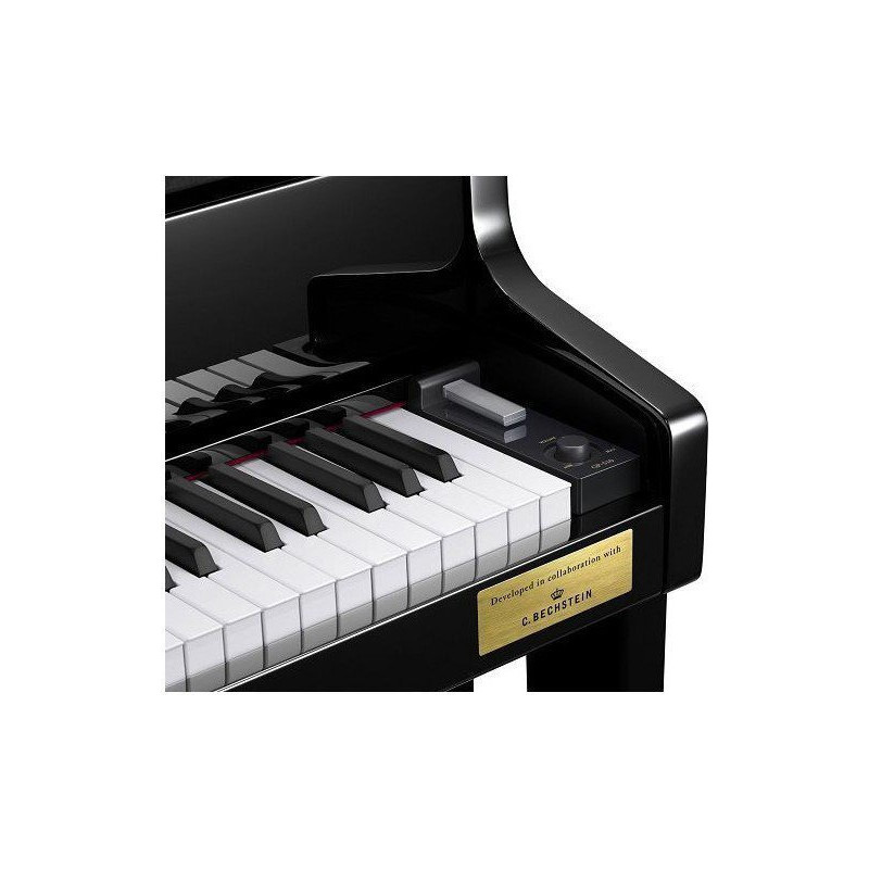 CASIO GP-510 BP CELVIANO