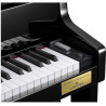 CASIO GP-510 BP CELVIANO