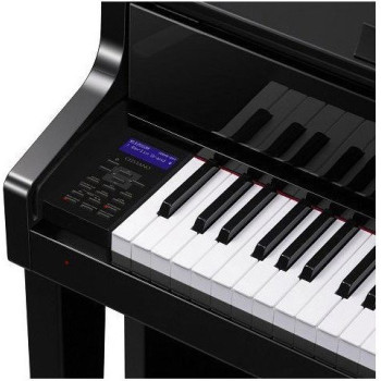 CASIO GP-510 BP CELVIANO