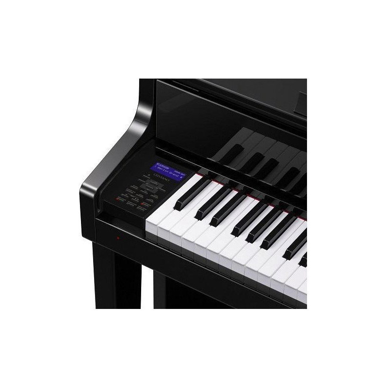 CASIO GP-510 BP CELVIANO
