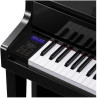 CASIO GP-510 BP CELVIANO