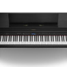 ROLAND HP704-CH charcoal black
