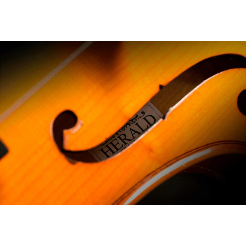HERALD AS118 violon massif 1/8